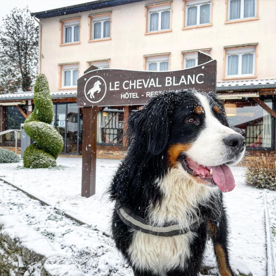 Le Cheval Blanc - Lac Du Der - Logis Hotel Giffaumont-Champaubert Esterno foto